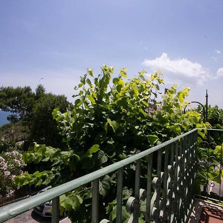 N237 - Numana, Trilocale A 100 Metri Dal Centro Apartment Екстериор снимка